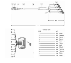 MPO to LC 2.0 mm fanout assembly drawing with branch dimensions and numbered channel mapping